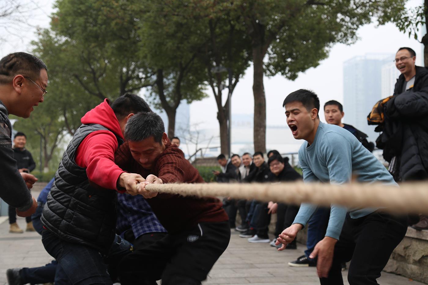 首页- 尊龙集团中国官网入口